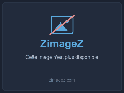 http://www.zimagez.com/miniature/plongeur20.jpg